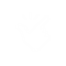 Database Backup