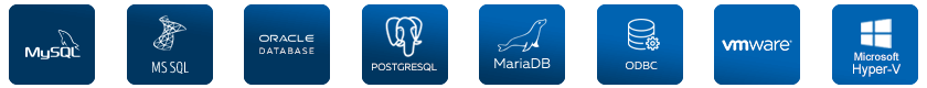 Business Data Protection